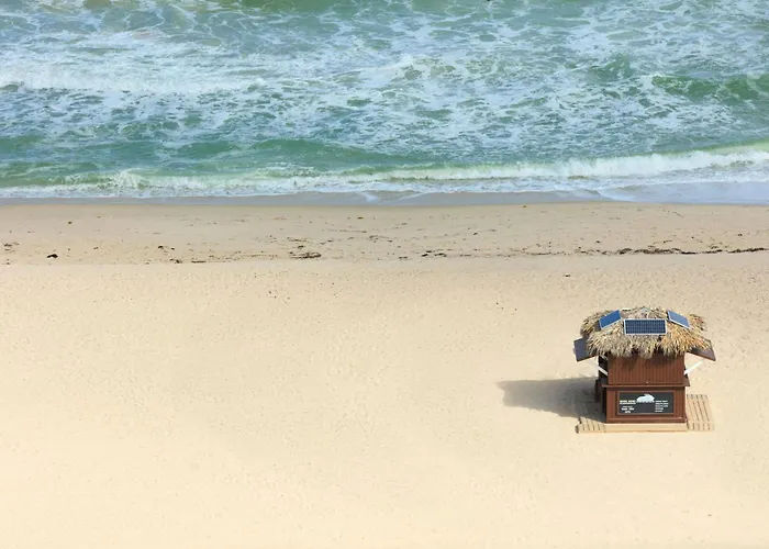 Fort Lauderdale Marriott Harbor Beach & SpaResort Hotel